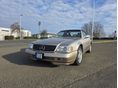 MERCEDES-BENZ SL 500 (Automata)