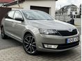 SKODA RAPID 2015/1 - 3
