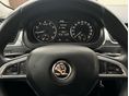 SKODA RAPID 2015/1 - 15