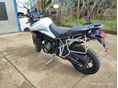 TRIUMPH TIGER 900 2021/8 - 2