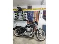 HARLEY-DAVIDSON SPORTSTER 883 100. Anniversary