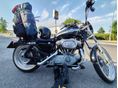 HARLEY-DAVIDSON SPORTSTER 883 2003/3 - 2