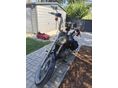 HARLEY-DAVIDSON SPORTSTER 883 2003/3 - 3