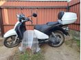 APRILIA SCARABEO 250 
