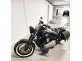 HARLEY-DAVIDSON SOFTAIL SLIM