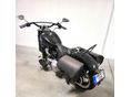 HARLEY-DAVIDSON SOFTAIL 2014/3 - 6
