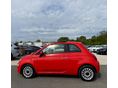 FIAT 500 2020/11 - 4
