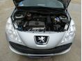 PEUGEOT 206 2010/5 - 10