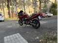 SUZUKI GSF 600 S (BANDIT) 2003/5 - 3