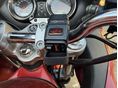SUZUKI GSF 600 S (BANDIT) 2003/5 - 5