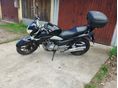 SUZUKI GW 250 INAZUMA 
