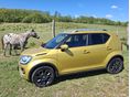 SUZUKI IGNIS 2021/10 - 8
