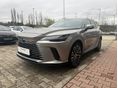 LEXUS RX 2024/11 - 5