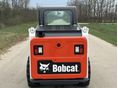 BOBCAT 2023 - 6