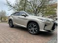 LEXUS RX 2017/3 - 1