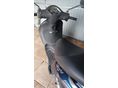 PIAGGIO LIBERTY 125 2011/11 - 5