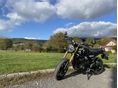 TRIUMPH SPEED 400 2024/5 - 2