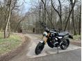 TRIUMPH SPEED 400 2024/5 - 4