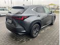 LEXUS NX 2025/10 - 4
