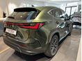 LEXUS NX 2025/10 - 4