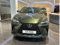 LEXUS NX 2025/10 - 5