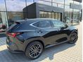LEXUS NX 2025 - 2