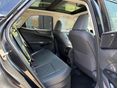 LEXUS NX 2025 - 6