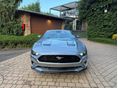 FORD MUSTANG 2023/2 - 2