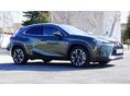 LEXUS UX 2021 - 3