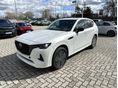 MAZDA CX-60 3.3 Skyactiv D Homura AWD (Automata) COSO BLOP 2026-os modellév