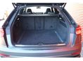 AUDI Q8 2024/1 - 11