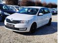 SKODA RAPID 2014/1 - 4