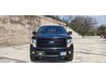 FORD F 150 2014/9 - 4