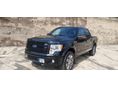 FORD F 150 2014/9 - 8