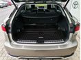LEXUS RX 2023/1 - 9
