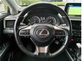 LEXUS RX 2023/1 - 27