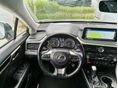 LEXUS RX 2023/1 - 28