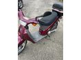 PIAGGIO FREE 50 2005/1 - 2