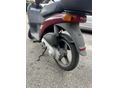 PIAGGIO FREE 50 2005/1 - 3