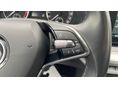 SKODA OCTAVIA 2022/2 - 20