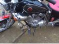 YAMAHA XV 250 (VIRAGO) 1995/11 - 4