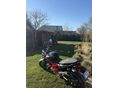 SUZUKI GSF 650 2013/10 - 6