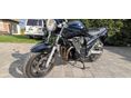 SUZUKI GSF 650 2006/5 - 2