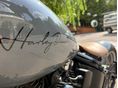 HARLEY-DAVIDSON SOFTAIL 2002/4 - 3