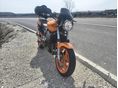 HONDA CB 900 F (HORNET) 2002/8 - 4
