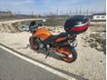 HONDA CB 900 F (HORNET) 2002/8 - 6