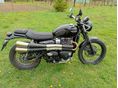 TRIUMPH SCRAMBLER 2017/6 - 2