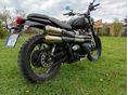 TRIUMPH SCRAMBLER 2017/6 - 5