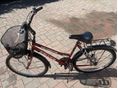 BICYCLE 2010 - 5