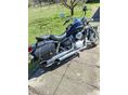 HONDA VT 125 C SHADOW 2002/5 - 4